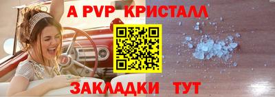 амф Новозыбков