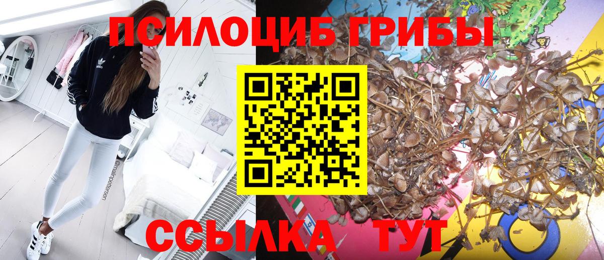 Топки  Псилоцибиновые грибы мицелий  Вход с VPN 